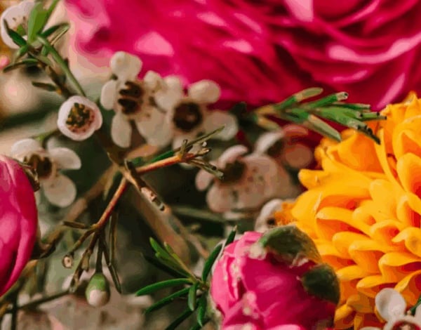The Flower Studio